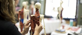 Balanced Body Anatomy In 3D Uluslararası Eğitmen Sertifika Programı